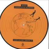 BCee & Charlotte Haining - Life As We Knew It 2x12"