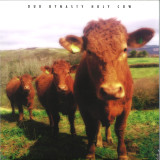 Dub Dynasty (Alpha Steppa & Alpha & Omega) - Holy Cow