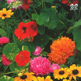 Huerta - TV Slang LP