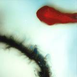 Stubborn Heart - Stubborn Heart