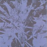 Plants Heal - Forest Dwellers LP