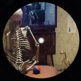 Myler - Dixies James Ep