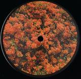 Aschof Mal - Came Home From Work And Your House Was Missing