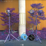 Eiko Ishibashi & Darin Grey - Ichida