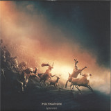 Polynation - Igneous