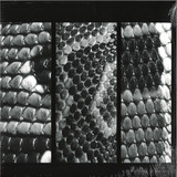 Slow White Fall - Total EP