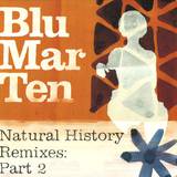 Blu Mar Ten - Natural History Remixes Part 2