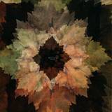 Frivolous - Meteorology 2x12"