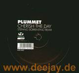 Plummet - Cherish The Day