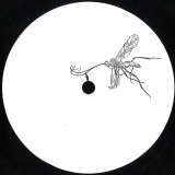 Antonym - Reville