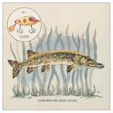 NICK LOWE - LAY IT ON ME