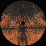 Nemo Vachez - Cyclostomes EP