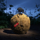 Various - Cache 02 3x12"