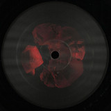 Various - Gemstones Ruby