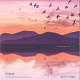 Coyote - Everything Moves, Nothing Rests EP