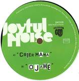 Joyful Noise - Crier Mamaur Purpose