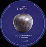 Visti & Meyland - Open Your Arms