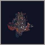 B/b/s - Palace