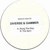 Diverse & Gammer - Along The Way
