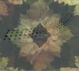 Frivolous - Meteorology
