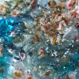 Various - Water Bodies TAPE