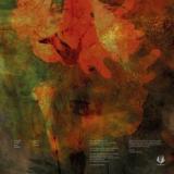 RAVE AT YOUR FICTIONAL BORDERS - ANALOGUE NOMADISM