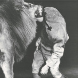 Anthony Naples - Zipacon