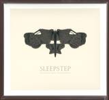 Dasha Rush - Sleepstep - Sonar Poems For My Sleepless Friends