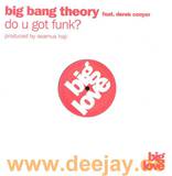 Big Bang Theory - Do You Got Funk