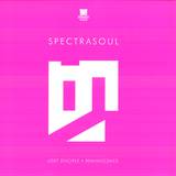 Spectrasoul - Lost Disciple/reminiscence