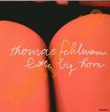 Thomas Fehlmann - Little Big Horn