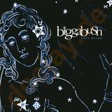 Bigga Bush - This River