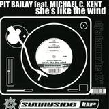 Pit Bailay & Michael C.kent - She's Like The Wind