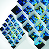 Bluetech - Liquid Geometries In Dub