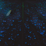 mu tate - let me put myself together