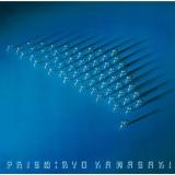 RYO KAWASAKI - PRISM