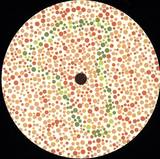 Takashi Himeoka - Kamogawa Ep - 180 Grams - Vinly Only