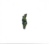 Various - Plangent Compilation Vol.1