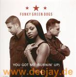 Funky Green Dogs - You Got Me (burnin Up)