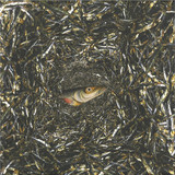 Various - TESSARACT V/A