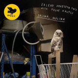 ERLEND APNESETH TRIO WITH FRODE HALTLI - Salika, Molina  VÖ 12.04.2019