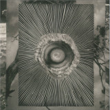 Bukkha - Into The Void