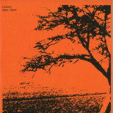 Losoul - Open Door 2x12"