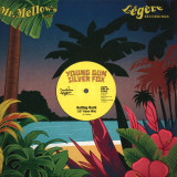 Young Gun Silver Fox - The Disco Mixes