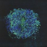 Brainbeats - Ubiquity