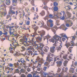 SUSO SAIZ - DISTORTED CLAMOR