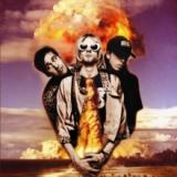 NIRVANA - Hollywood Rock Festival 1993 LP
