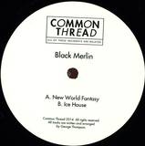 Black Merlin - New World Fantasy / Ice House