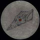 Voiski & Roberto - Calyptraphorus Velatus