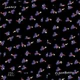 Swarvy - Elderberry